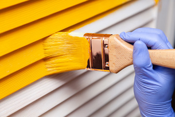 House Painter